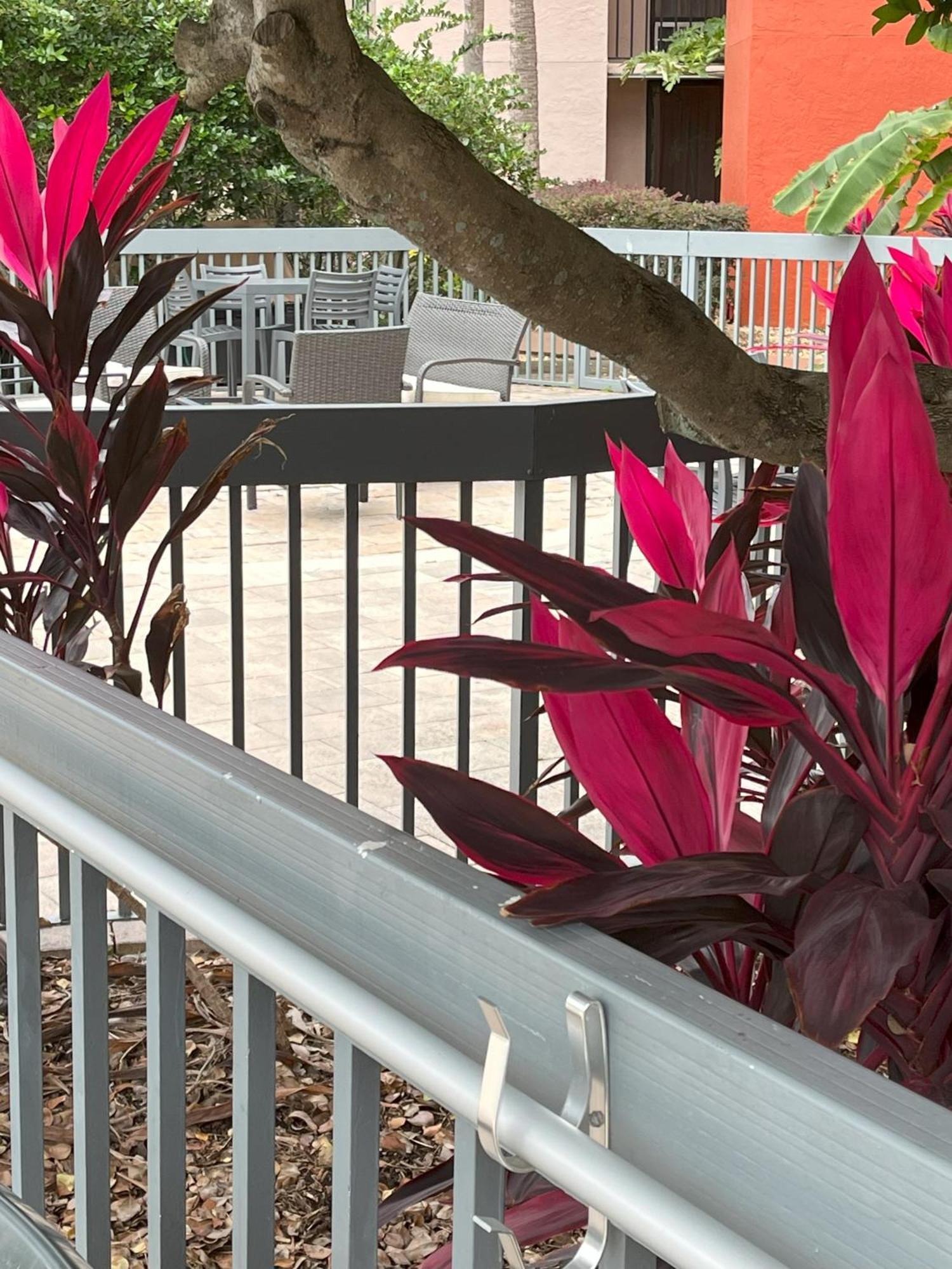 Grand Hotel Orlando At Universal Blvd - Shuttle To Theme Parks Екстериор снимка